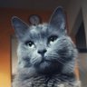 adcpção profil fotoğrafı