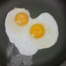 Someone's profile picture