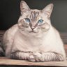 granma's profile picture