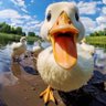 艺术的卵 profil fotoğrafı