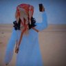 Profilbild von Muhammad Alhajer