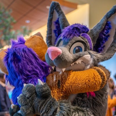 Hugz N. Snugz 🔜 FWA 2026's profile picture