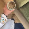 Aljazi|⭐️ profil fotoğrafı