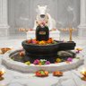 umakumar ( मोदी जी का परिवार)'s profile picture