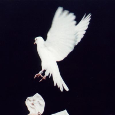 bixby's profile picture
