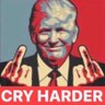 American Patriot's profile picture