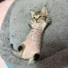 海淀甜广甜 profil fotoğrafı