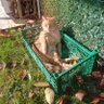 Profilbild von ALET-İİ21