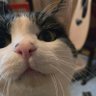 ぎん profil fotoğrafı