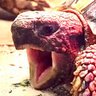 masakuruma's profile picture