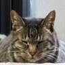 にん's profile picture