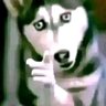 Filet's profile picture