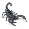 Scorpion🇿🇦's profile picture