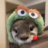 せんたろッ 的头像