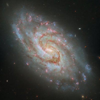 maricomaricoo's profile picture