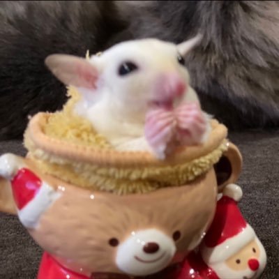 いもの日常's profile picture