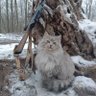 Фото профиля Ихтамнетъ Корниловъ