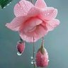 Flowerss 🇨🇱🇵🇪 profil fotoğrafı