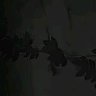 a...l's profile picture