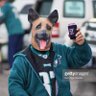 Profilbild von Go Birds