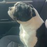 Profilbild von Rosin Cane