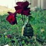 طالب العلم ''نیمروزوال profil fotoğrafı