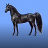 الفحل الاسود's profile picture