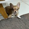 Bner profil fotoğrafı