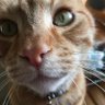 Profilbild von Paul C