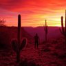 Make AZ Red Again 的头像
