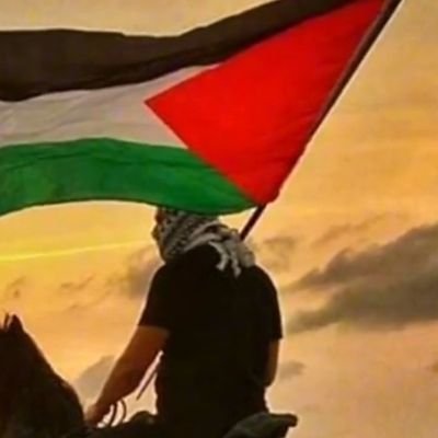 abohadihad10244's profile picture