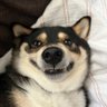 Ev's profile picture