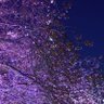 Фото профиля たかし