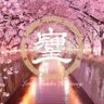 そしじ's profile picture