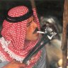 بِنْدق profil fotoğrafı