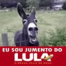 Petista comedor de capim's profile picture