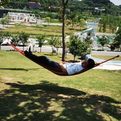 tianyulvzhu's profile picture