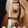 المستر جون's profile picture