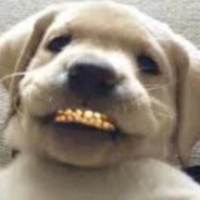 vzzzzczzzz's profile picture