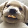 hauva's profile picture
