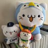 メープル (🤗⚾️🦁🏆) 的头像