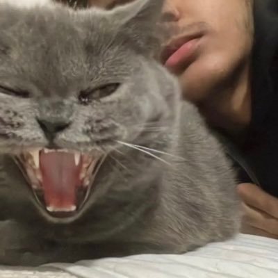 KingLnferno's profile picture