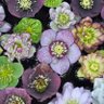 Фото профиля A.Ericksonn