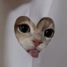 Фото профиля 🐈