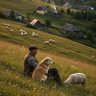 subLiminaLsöyLemLer profil fotoğrafı