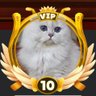 persiancat.hxd.sol's profile picture