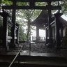 投資投機情報収集垢 的头像