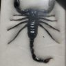 Μαρία Φωτακη's profile picture