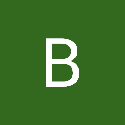 BastianOlanda's profile picture