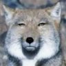 とら's profile picture